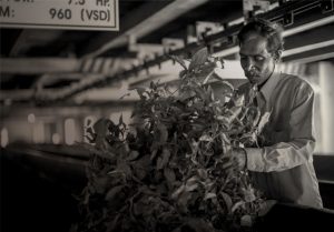 Recuperar propietats mil·lenàries